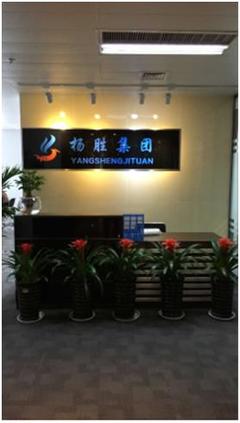 扬胜集团 拥抱“互联网+”浪潮，以信息技术服务为企业发展助力护航